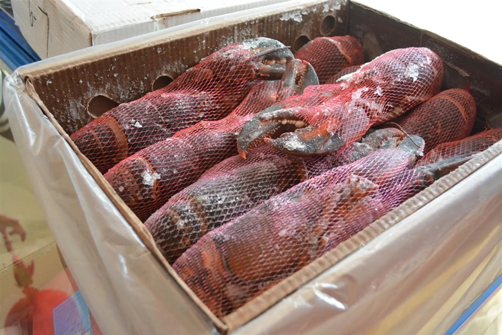 進口肯尼亞野生水產(chǎn)品報關(guān).jpg